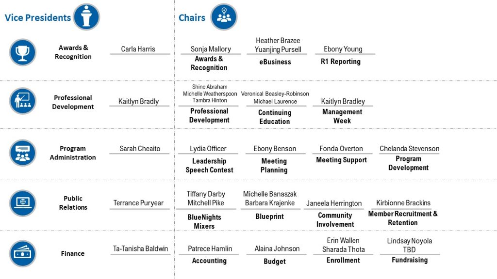 org-chart-bcbsm-leadership-development-association