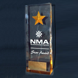 nma-star-award-2